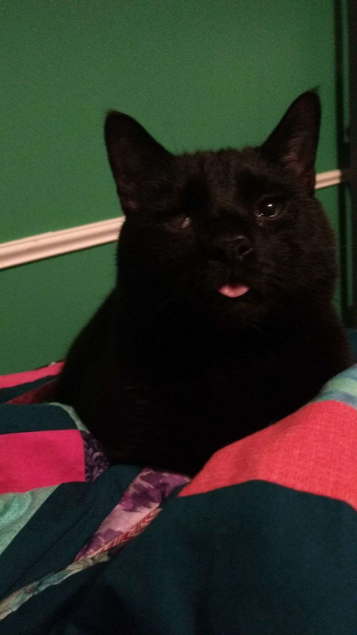 picture that wont load for some reason :(