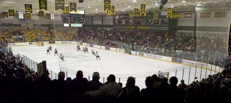 Hockey Action at Cheel Arena